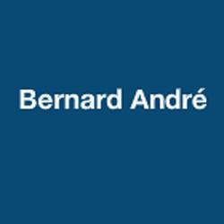 Bernard André