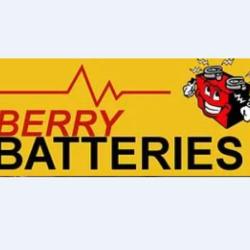 Berry Batteries