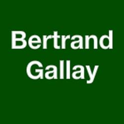 Bertrand Gallay