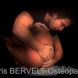 Boris Bervelt