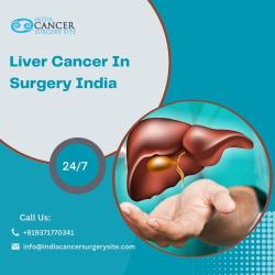 Best Liver Transplant Doctors In India