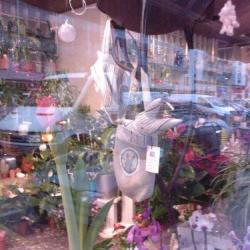 Betty Bouquets