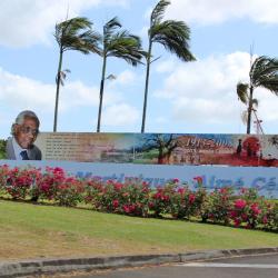 Betty Services Courses-taxi-le François Martinique