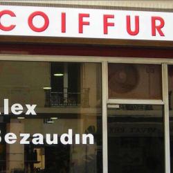 Bezaudin Alex