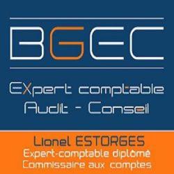 Bgec Experts Associés