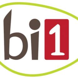 Bi1