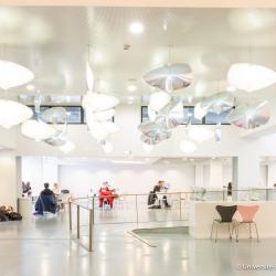 Bibliothèque D’assas - Université Paris-panthéon-assas