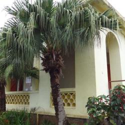 Bibliothèque De La Montagne