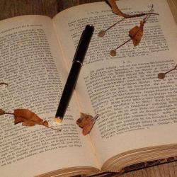 Bibliotheque De Prevessin Moens
