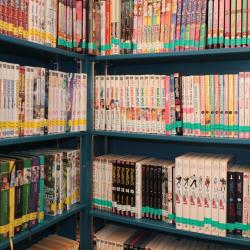 Bibliothèque Des Champs-plaisants
