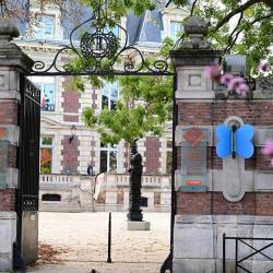 Bibliothèque Principale Les Violettes