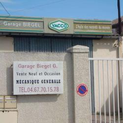 Biegel Georges