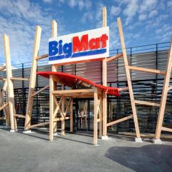 Bigmat