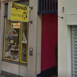 Bigoudi