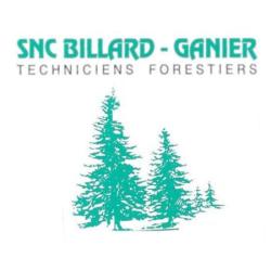 Billard Ganier
