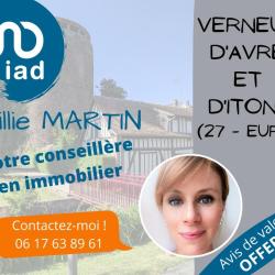 Billie Martin Iad France Conseillère Immobilier Verneuil Sur Avre