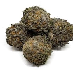 Bio Botanics Cbd - Besançon