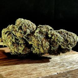 Bio Genetics Cbd