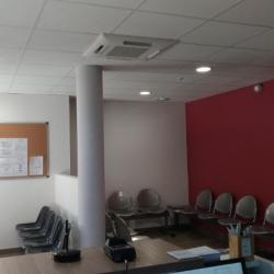 Bioaxiome