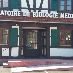 Biogroup - Laboratoire De Hoerdt