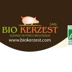 Biokerzest