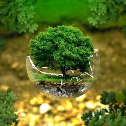 Biomonde
