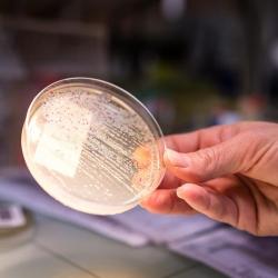 Biopath Laboratoires