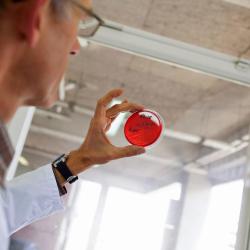 Biopath Laboratoires