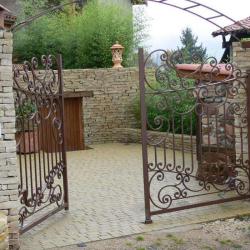 Biot-elec