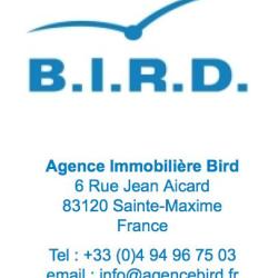 Bird