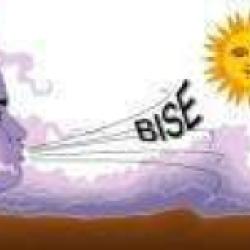 Bise Eurl