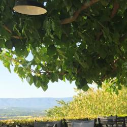 Bistrot La Terrasse