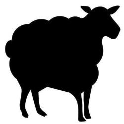 Black Sheep Igloo
