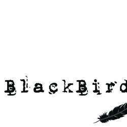 Blackbird