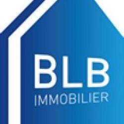 Blb Immobilier S&g, Syndic, Gestion , Transaction
