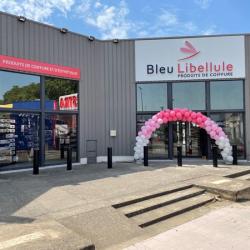 Bleu Libellule Balaruc-le-vieux
