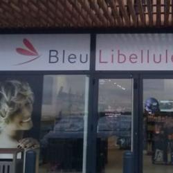 Bleu Libellule Saint-bonnet-de-mure