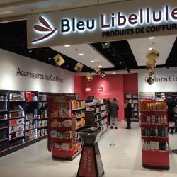 Bleu Libellule Saint-martin-des-champs