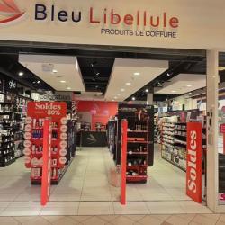Bleu Libellule Saint Parres Aux Tertres