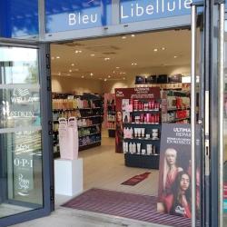 Bleu Libellule Savenay