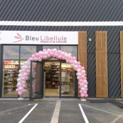 Bleu Libellule Vineuil