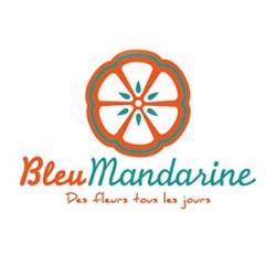 Bleu Mandarine