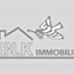 Blk Immobilier