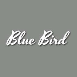 Blue Bird Tatouage