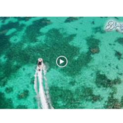 Blue Lagoon Excursion