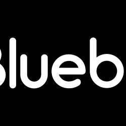 Blueback