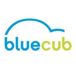 Bluecub
