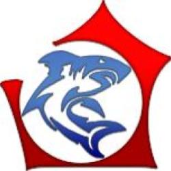 Bluesquale Informatique