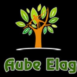 Bm Aube Elagage