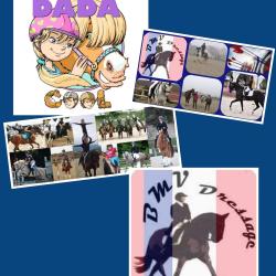 Bmv Dressage Ecole Equitation Dada Cool
